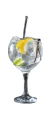 Gin Tonic Premium